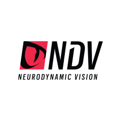 Neurodynamic Vision Expert Series