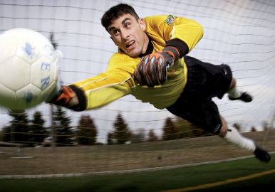 Neurodynamic vision in the news